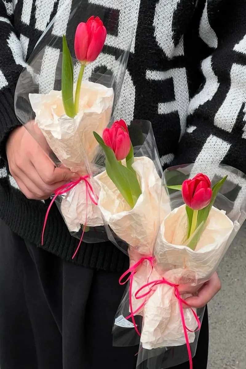 Bó Hoa Tulip 1 Bông Mix Màu