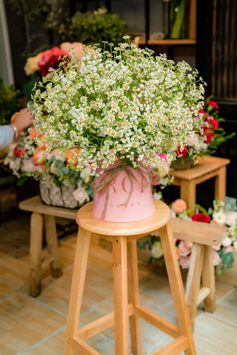 Hộp Hoa Sinh Nhật Cúc Tana Bibi