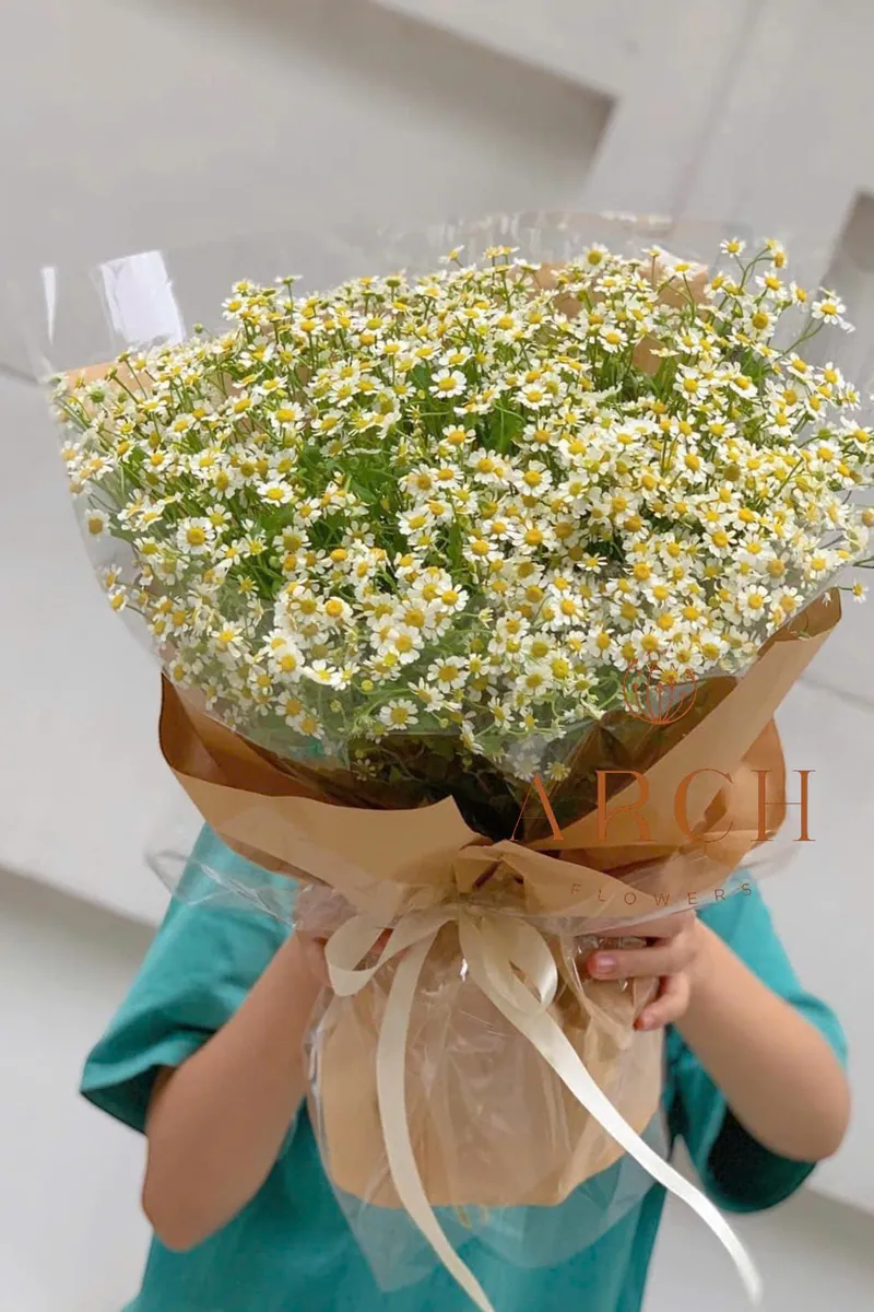Bó Hoa Cúc Tana Đẹp