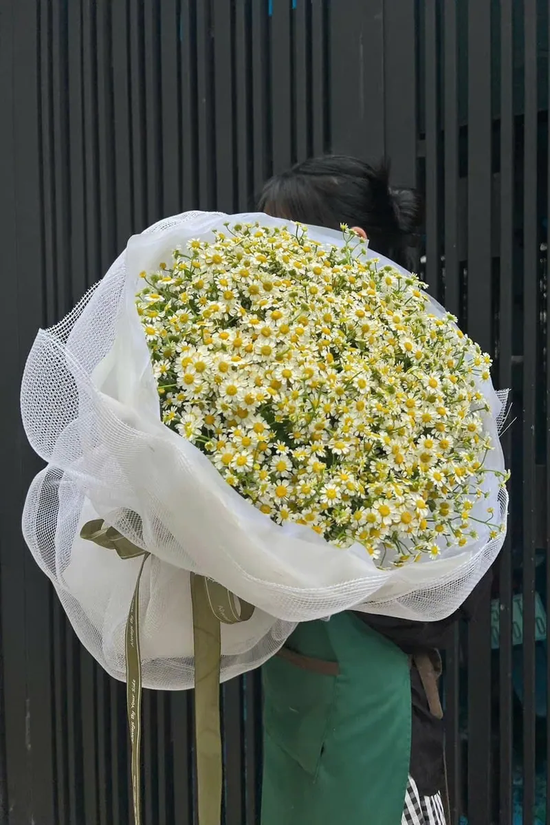 Bó Hoa Cúc Tana Cỡ Lớn Lưới Trắng