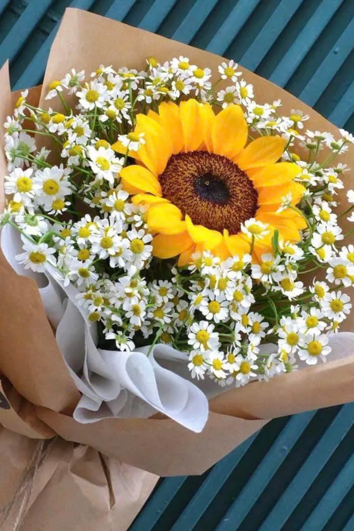Bó Hoa Hướng Dương Viền Cúc Tana Kraft