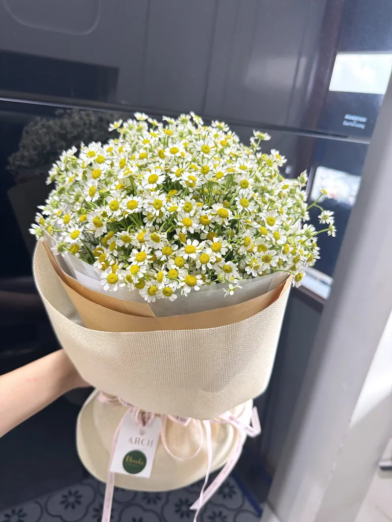 Bó Hoa Cúc Tana Giấy Kraft Vải Bố Kem